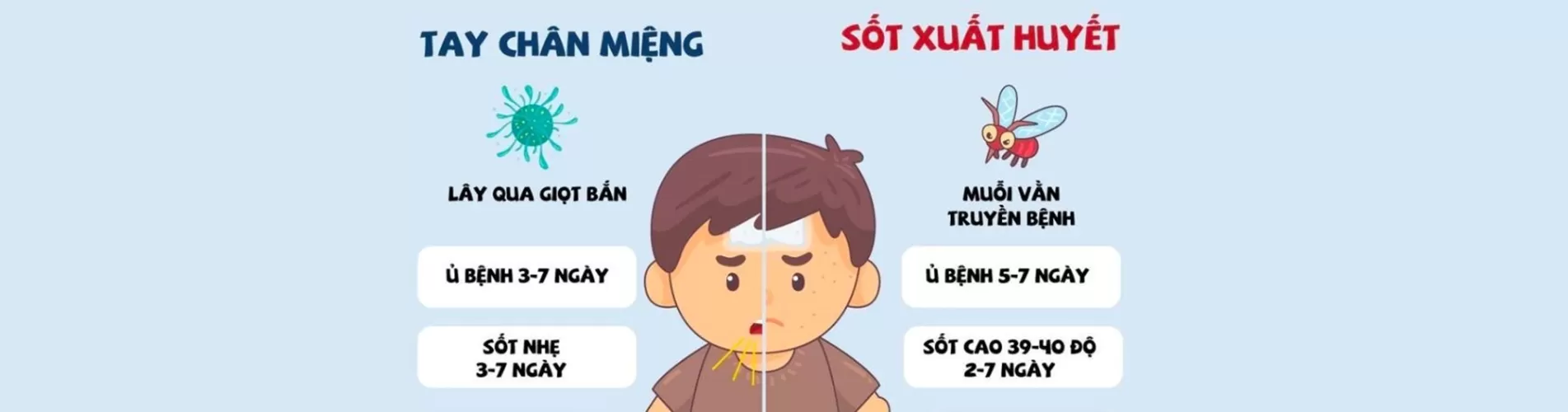 Hà Nội: Bệnh Sốt xuất huyết, tay chân miệng tiếp tục gia tăng